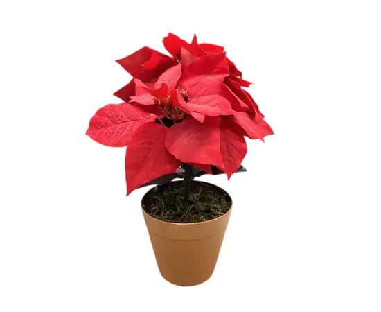 Artificial flower AIMON GROUP XY15-517