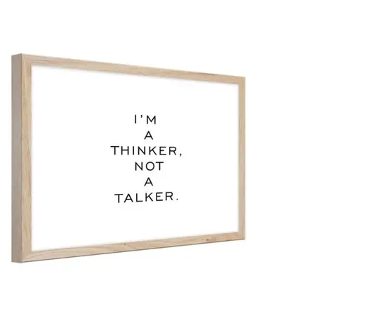 Picture in a frame Styler FP055 TALKER 30X40