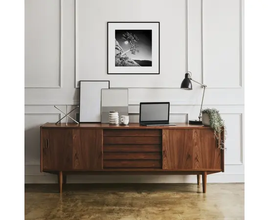 Картина на рамке Styler AB121 MOON TREE 50X50