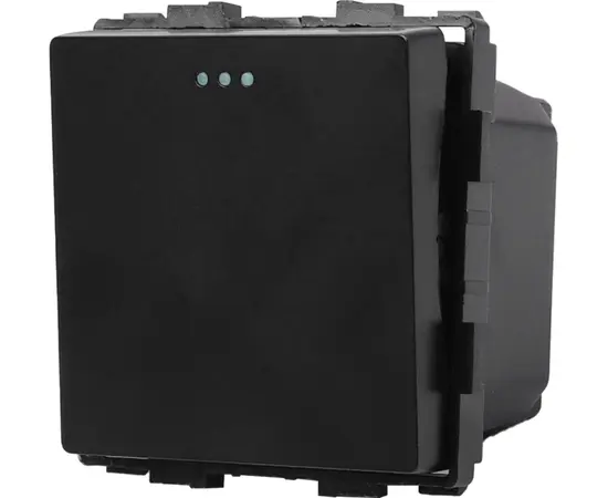 Выключатель Socket Style 1 1G-2W черный