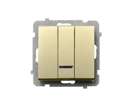 ჩამრთველი ჩარჩოს გარეშე Ospel ŁP-13RS/m/39