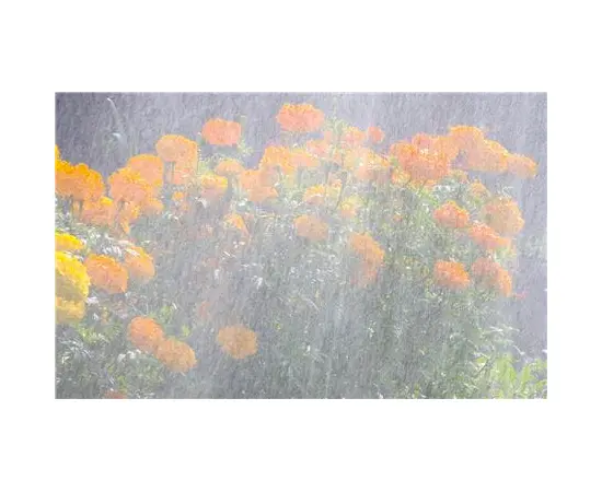 Hose for micro irrigation Gardena 996-20 15 m