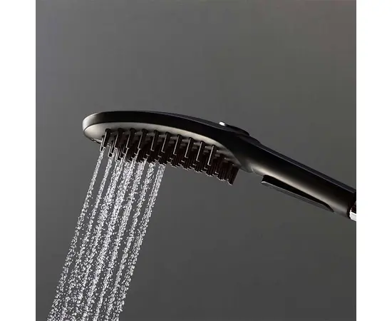 Hansgrohe Dog Shower Head 26640670