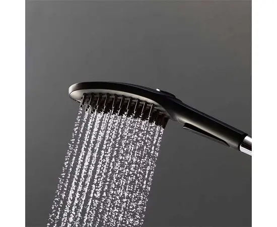 Hansgrohe Dog Shower Head 26640670