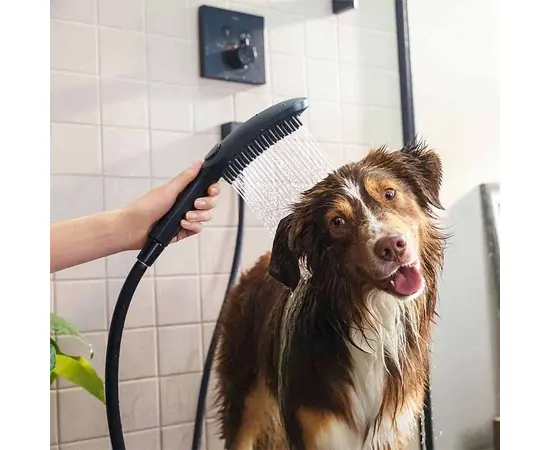 Hansgrohe Dog Shower Head 26640670