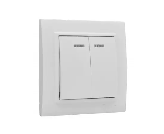 Switch with backlit EKF ERV10-123-10 2 key white
