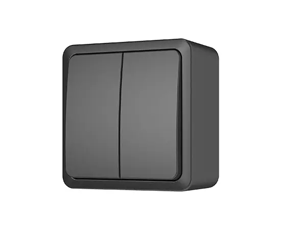 Switch Vilma P510-020 an 2 key anthracite