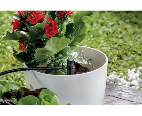 წვეთოვანი სარწყავი სისტემის კომპლექტი GF 20 VASE GF80006105