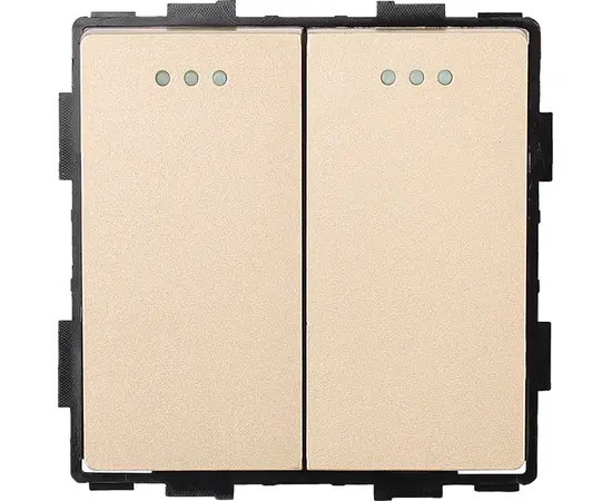 ჩამრთველი Socket Style 2 2G-2W ოქროსფერი