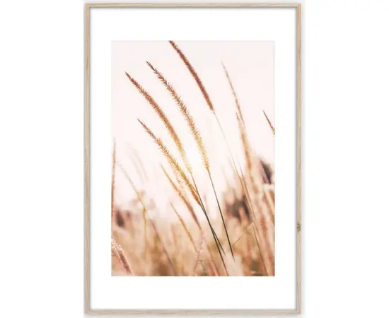 Картина в рамке Styler Grasses AB078 50X70 см