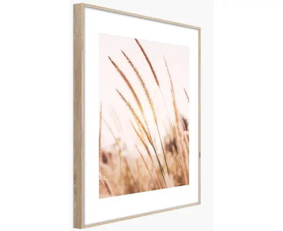 Картина в рамке Styler Grasses AB078 50X70 см
