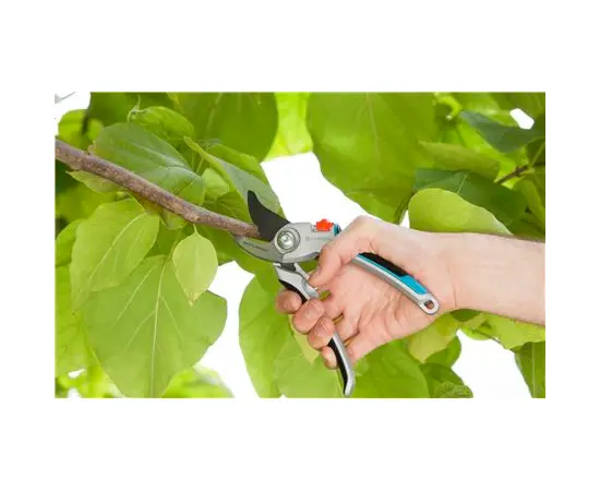 Pruner Gardena B/L 8906-20 25 mm
