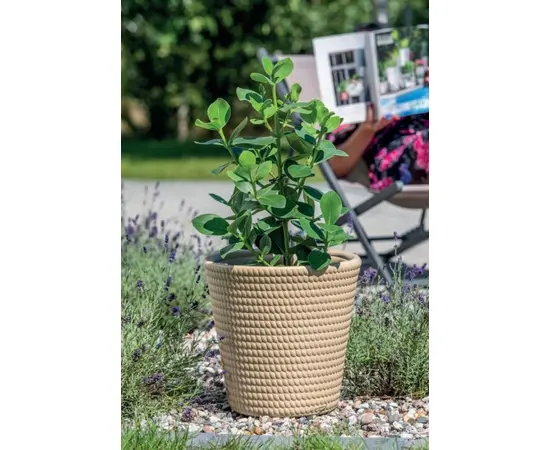 ქოთანი ყვავილის Form-Plastic Lina 35 soft jute