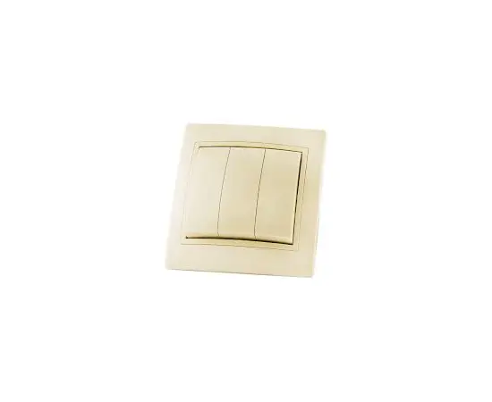 ჩამრთველი TDM 10 A 220 V