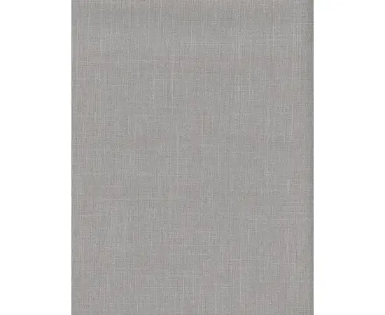 Curtain Delfa Aura SRSH-01M-2720 77(73)/170 cm light gray