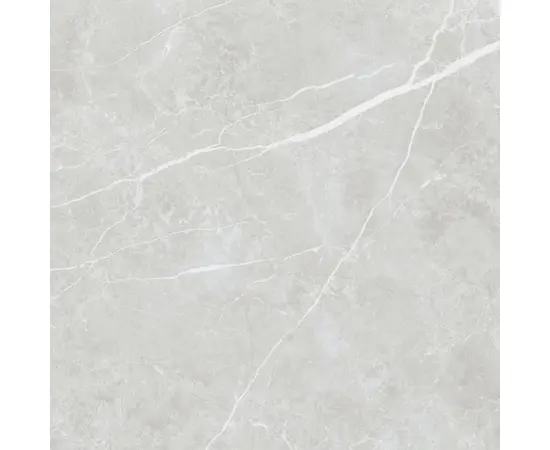 კერამოგრანიტი Tau Ceramica Elite Silver 600x600 მმ