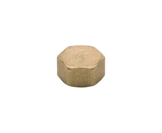 Plug brass   Tycner  3/4 v.r