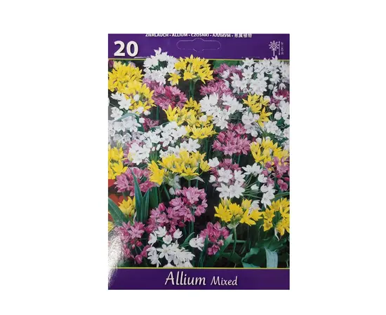 Bulbous HBM BES Allium Mixed (x20)