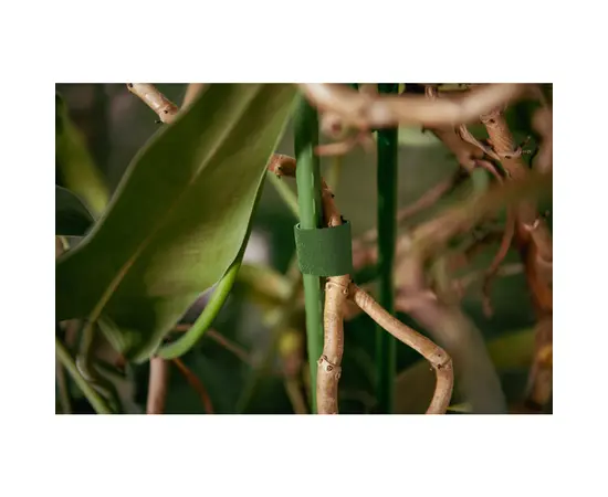 Лента для растений Bradas 9.5x5 rolka GREEN