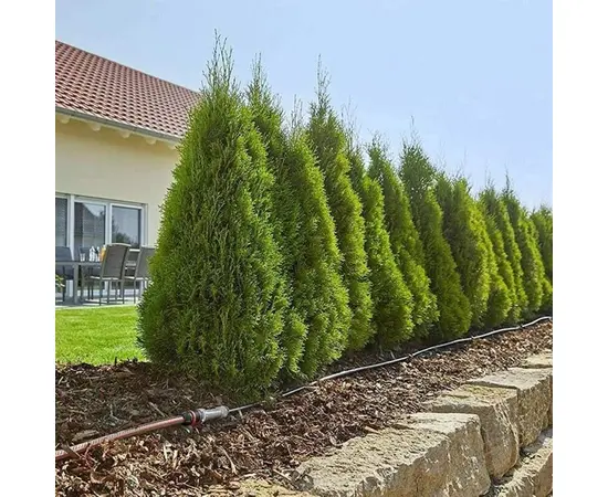 Oozing hose Gardena 13013-20 1/2" 50 m