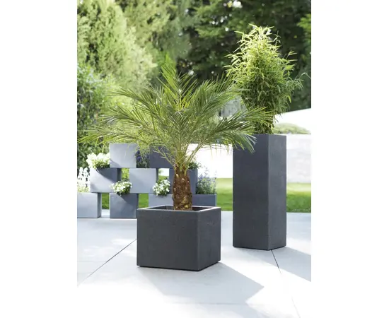 ეზოს პლასტმასის ქოთანი Scheurich 240/40 C-CUBE STONY BLACK