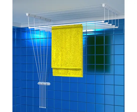 Ceiling-mounted clothes dryer F2000-4820205/170140 2 m