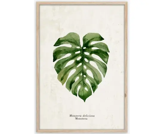 Картина в рамке Styler Monstera FP037 50x70 см