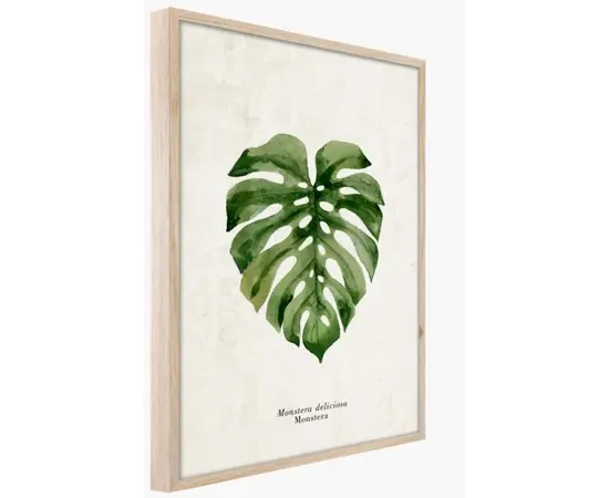 Картина в рамке Styler Monstera FP037 50x70 см