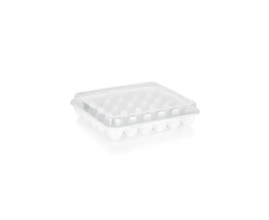 Container for storing eggs plastic PLAST ART yu-130 section 30