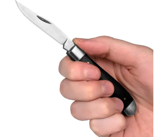 Knife Kershaw Gadsden 4381