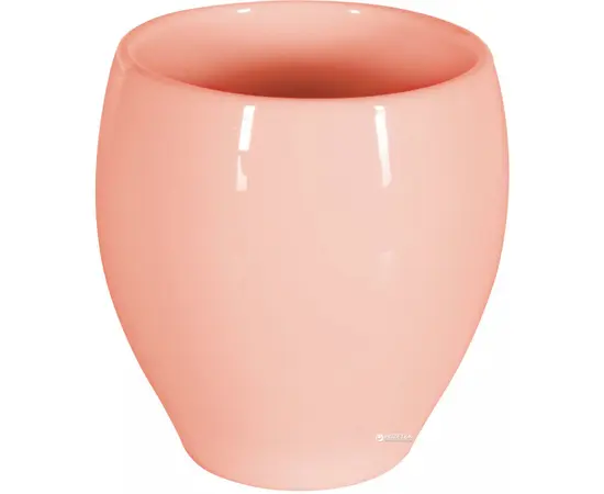 Toothbrush tumbler Spirella BALI APRICOT