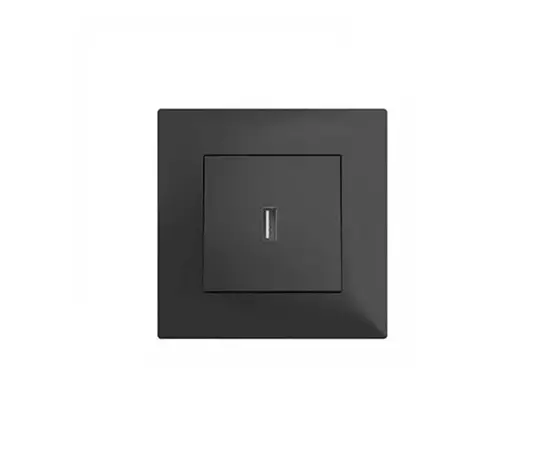 როზეტი LEGRAND ჩარჩოს გარეშე USB შავი