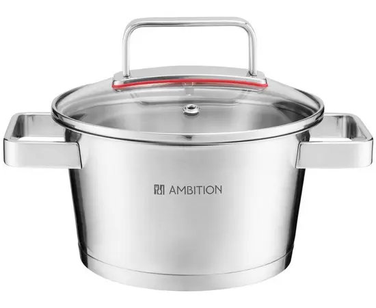 Stainless Steel Pot Ambition 24cm