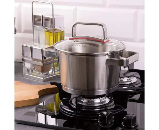 Stainless Steel Pot Ambition 24cm