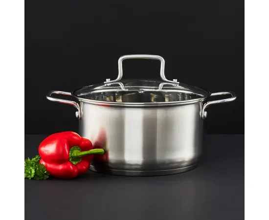 Stainless Steel Pot Hugo AMBITION 20 cm