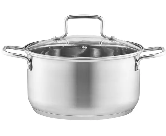 Stainless Steel Pot Hugo AMBITION 20 cm