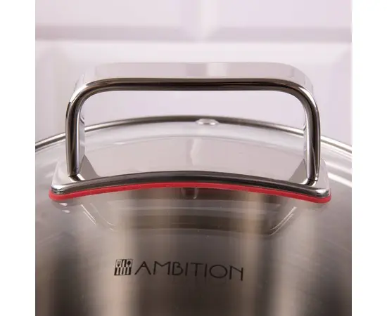 Stainless Steel Pot Selection AMBITION 20 cm