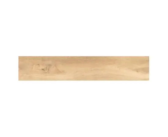 კერამოგრანიტი Cicogres 22.5X119.5 P ASPEN NATURAL MT R PRI