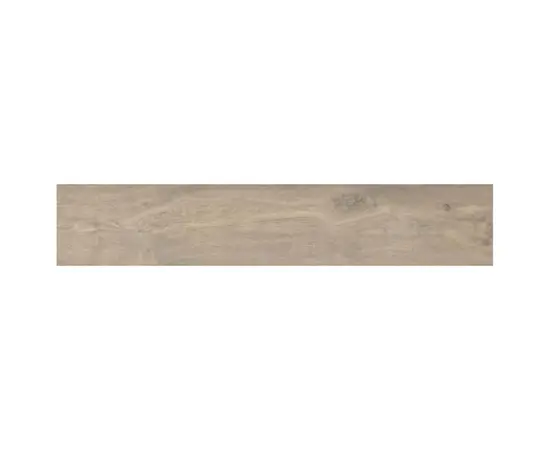 კერამოგრანიტი Cicogres 22.5X119.5 P ASPEN TAUPE MT R PRI