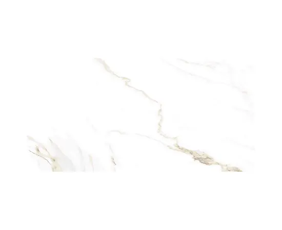Керамогранит HALKON CERAMICAS S.A. 60X120 P NAOS GOLD PUL R PRI.