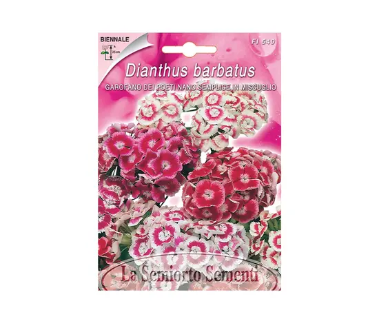 Семена гвоздики Dianthus o Chabaud DEI POETI MIX FI540-MAXIFlor