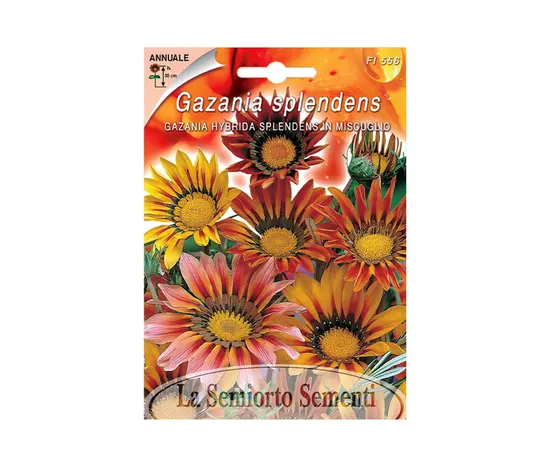 გაზანიას თესლი Gazania Hybrid SPLENDENS IN MIX FI556-MAXIFlor