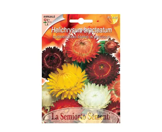 Семена Бессмертник Helichrysum NANO DOPPIO IN MISC. FI542-MAXIFlor