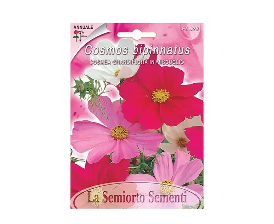 Cosmea seeds Cosmea GRANDIFLORA IN MISCUGLIO FI528-MAXIFlor