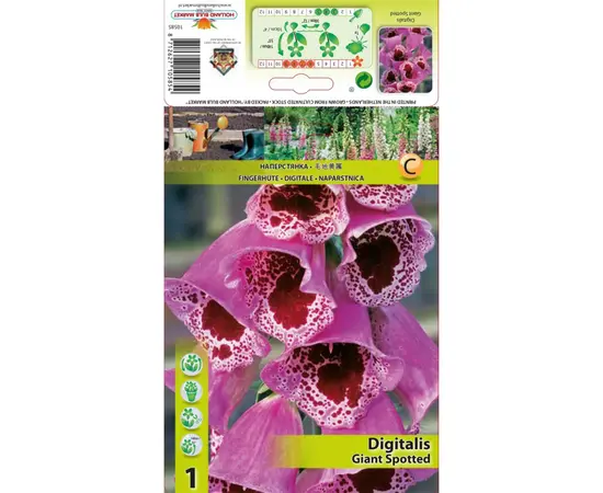 ბოლქვოვანი HBM STA Digitalis Giant Spotted (x1)