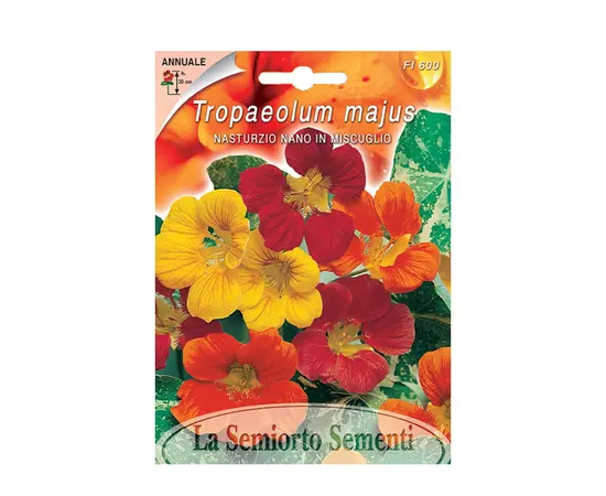 Nasturtium seeds Tropaelum Dwarf SIMPLE MIX FI600-MAXIFLOR