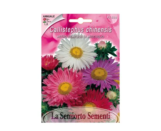 Семена астры Aster SEMPLICE IN MISCUGLIO FI508-MAXIFlor