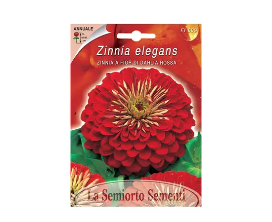 Zinnia seeds ZINNIA Red FI609-MAXIFlor