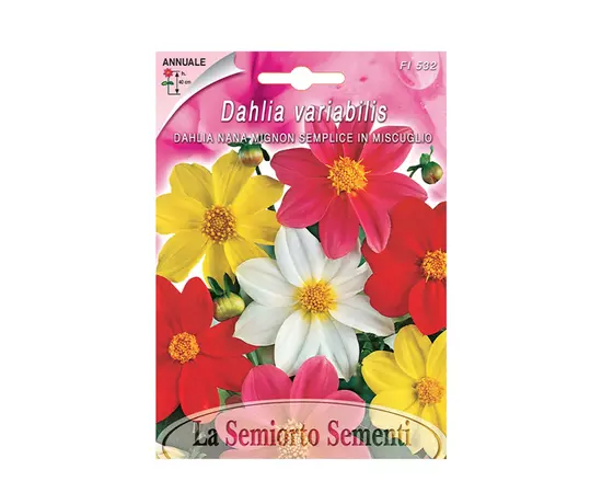 Семена Георгин Dahlia NANA MIGNON SEMPLICE IN MIX FI532-MAXIFlor