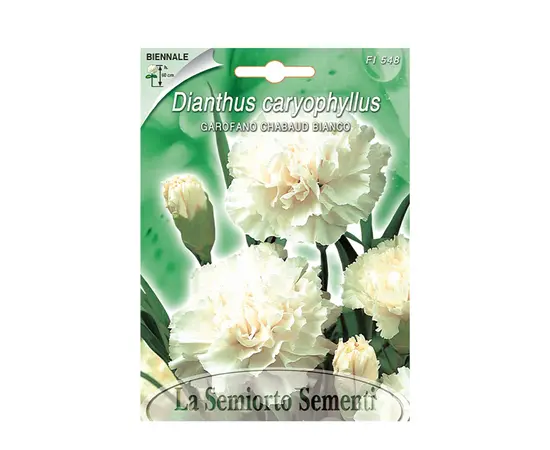 Семена белой гвоздики Dianthus caryophyllus WHITE